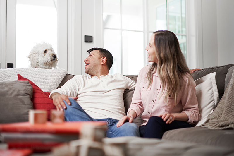 Do Air Purifiers Help with Allergies?